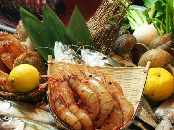 Óleo de peixe ou óleo de krill: diferenças no rótulo e nos ômegas