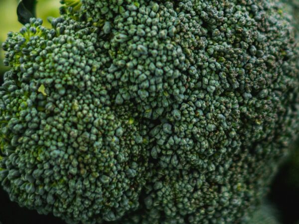 Cromo: funções, alimentos e limites dos suplementos