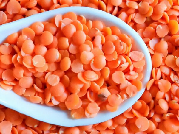 Ferro: funções, fontes alimentares e quando investigar deficiência