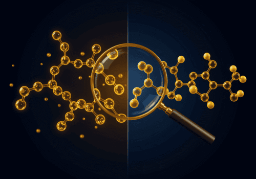 diferença de absorção celular entre o ômega 3 TG ou EE.