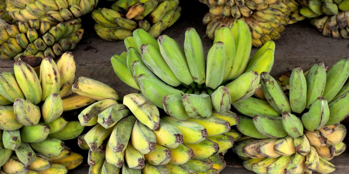 Potássio: funções, alimentos e cuidados com o excesso