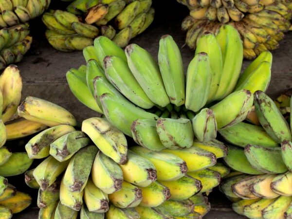 Potássio: funções, alimentos e cuidados com o excesso